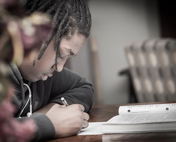 vivid imagination college access program